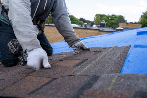 Quick and Trustworthy Emergency Roof Repair Services in Canton, NC