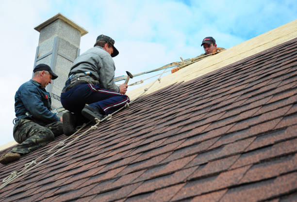 Best Gutter Installation and Roofing  in Canton, NC